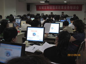 東城區(qū)召開財政國庫改革業(yè)務(wù)培訓(xùn)會，推進社會經(jīng)濟咨詢服務(wù)